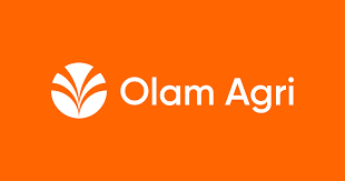 Food Security: Olam Agri Nigeria temporarily suspends maize, sorghum offtake