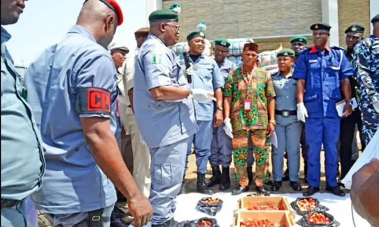 Customs intercepts 940 bullets, Indian hemps, others in Ogun