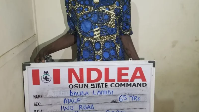 Osun NDLEA nabs ex-convict over possession of hard drugs