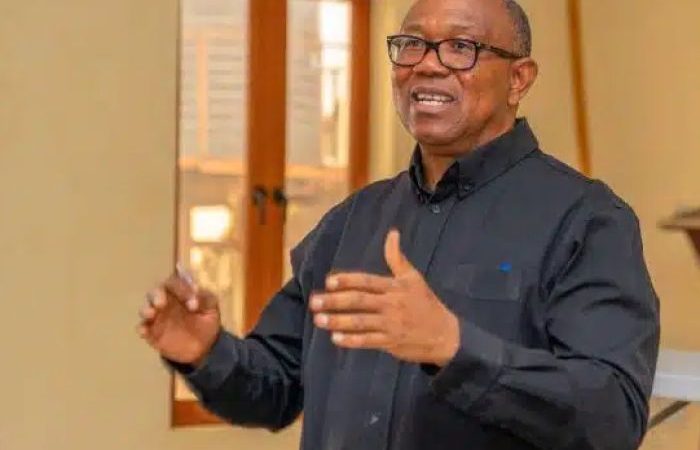 Obi shares vision for Nigeria with diaspora gatherings