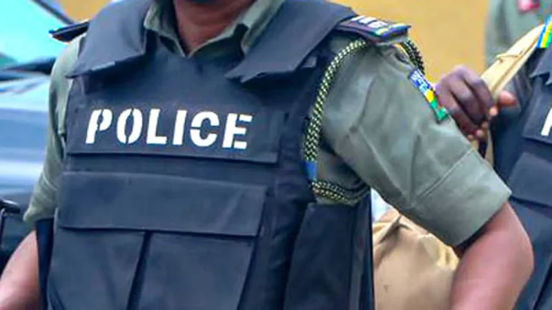 Police arrest wanted criminal in Jigawa