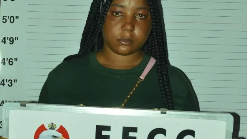 Naira abuse:  EFCC arrests woman in Gombe