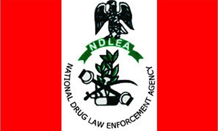 Convicted drug baron laundered N400m using illicit trade –NDLEA official