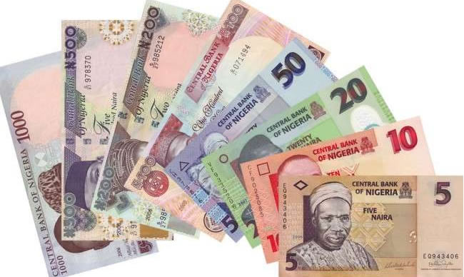 Naira rated worst performing currency in 2024