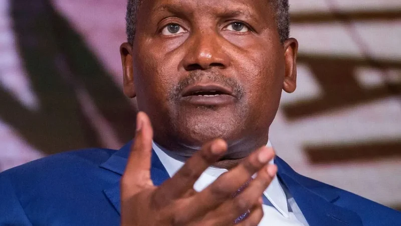 Dangote mulls diversification into steel manufacturing