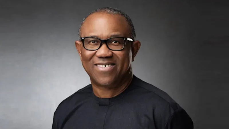 UK election justifies Peter Obi as leader of black race – LP chieftain, Ezeh