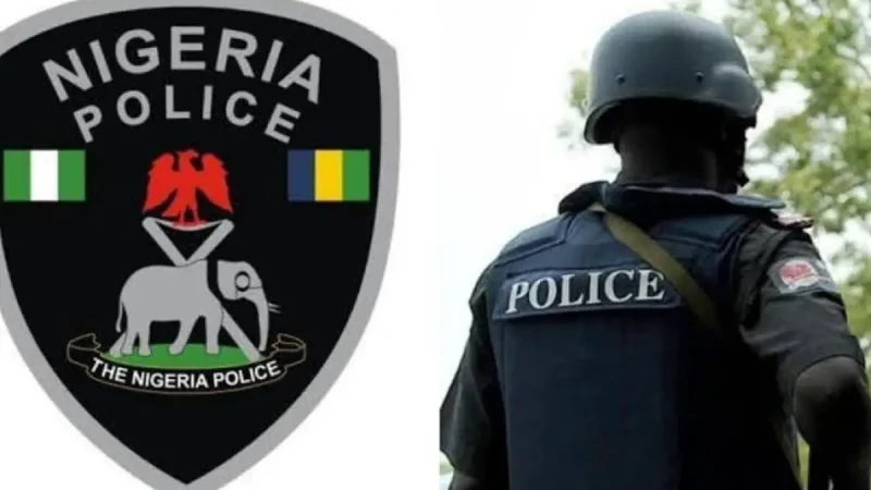 Alleged organ harvesting: Enugu police caution ladies against moving with unknown male partners