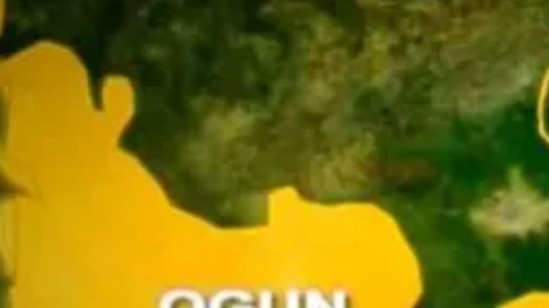 Ogun INEC REC slumps, dies in Abuja