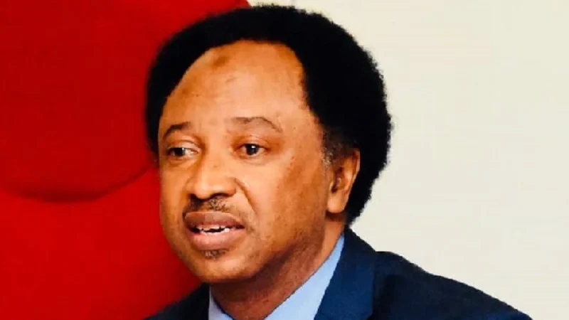 PDP: Kwankwaso declared himself ‘messiah’ – Shehu Sani