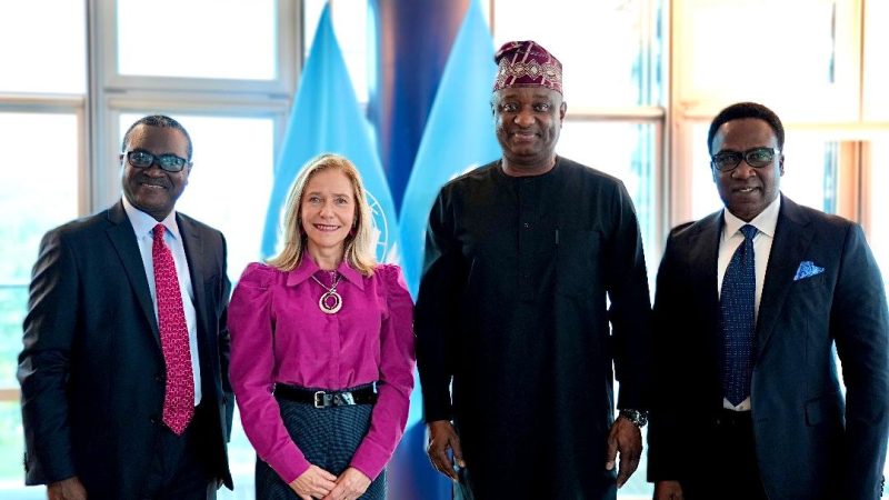 Keyamo Seeks Increased Support to Nigeria at WMO Conference