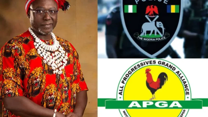 Imo LG poll: APGA calls for release of Owerri North chairmanship candidate Ahanonu