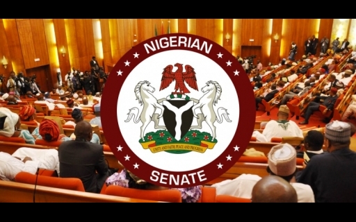 Airport projects: Senate approves N24bn refund for Kebbi, Nasarawa