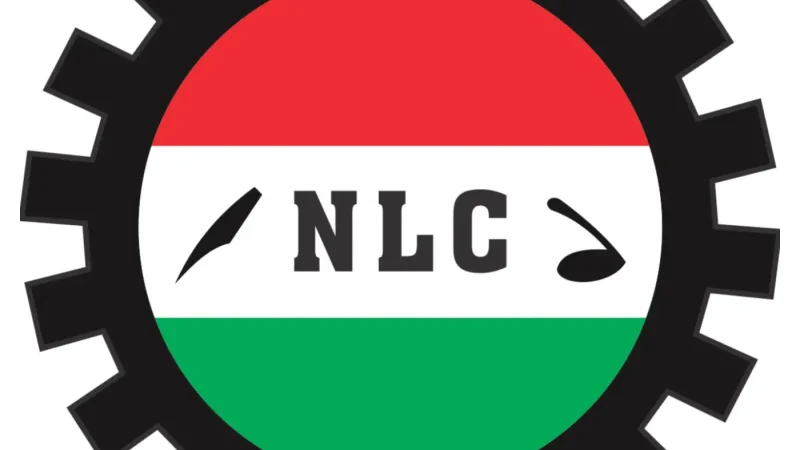 Minimum wage: Zamfara NLC threatens indefinite strike