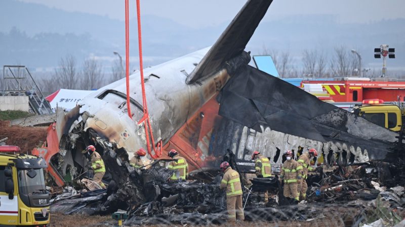 FG sympathises with S’Korea as 179 die in plane crash