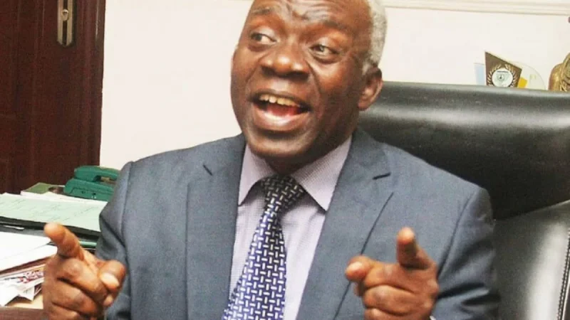 Rivers revenue allocation: Appeal Court verdict affirms federalism tenets – Falana