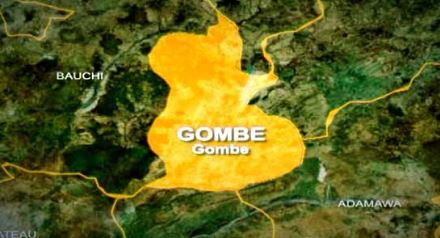 FG supports Gombe farmers with subsidised inputs