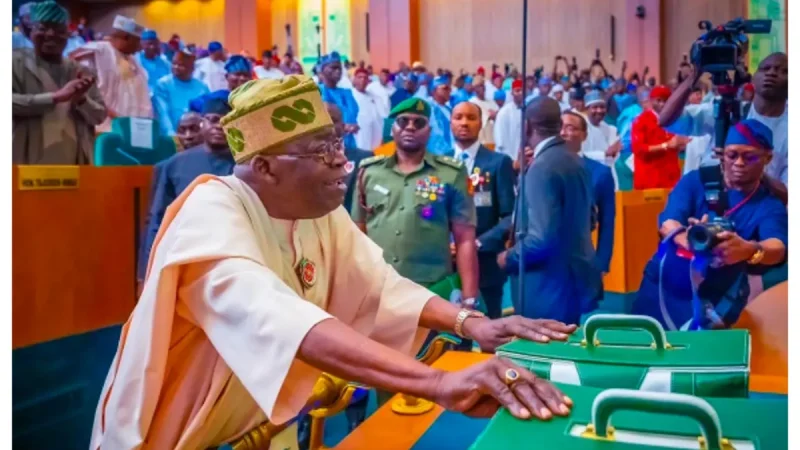 Knocks, kudos trail Tinubu’s N49.7trn 2025 budget proposal