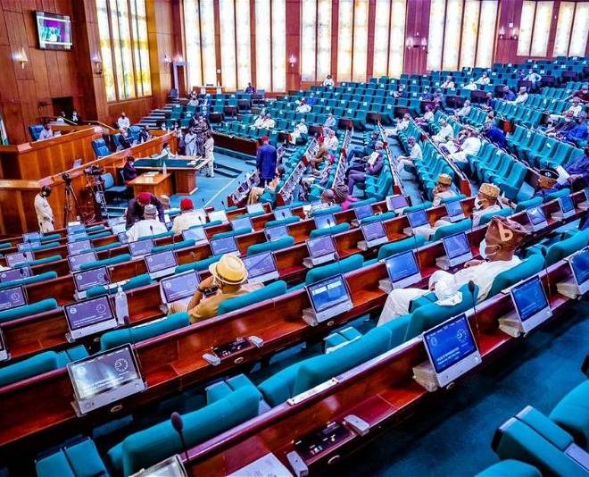 National interest will guide 2025 budget screening – Reps