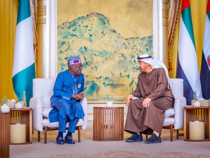 Tinubu invites UAE president to Nigeria