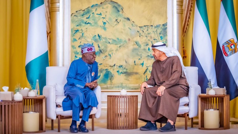 Tinubu invites UAE president to Nigeria