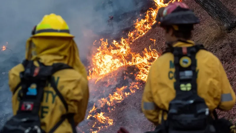 California: Wildfire death toll rises as Los Angeles set for more strong winds