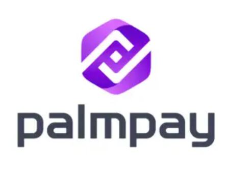 PalmPay drives financial growth with N4bn payout