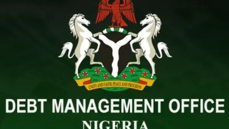 Budget 2025: Nigerian Govt provided enough for debt servicing — DMO