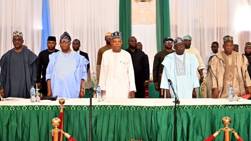 APC NEC ratifies zoning of national chairmanship position to north-west