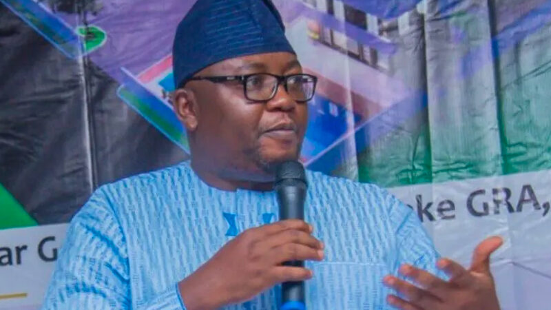 Nigeria to learn power generation from Egypt – Minister