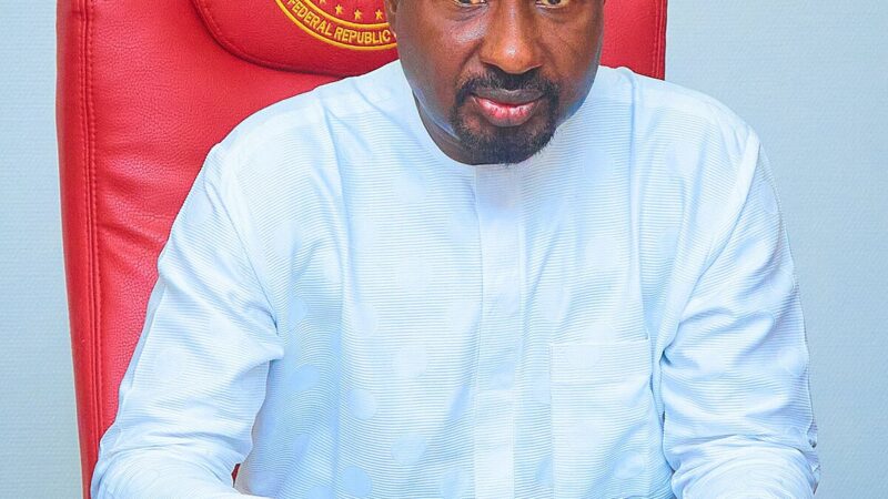 DSP BARAU JIBRIN AN EGGHEAD POLITICIAN IN  NIGERIAN POLITICAL SOIL 