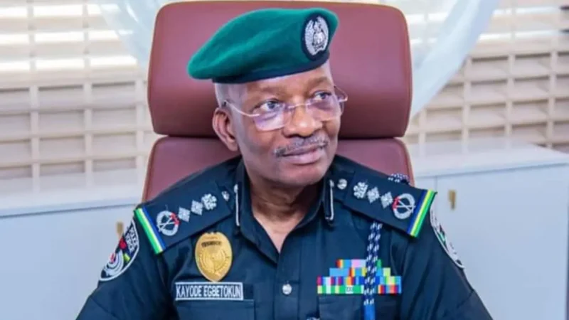 Ensure police actions do not undermine traditional institutions – HRW to IGP