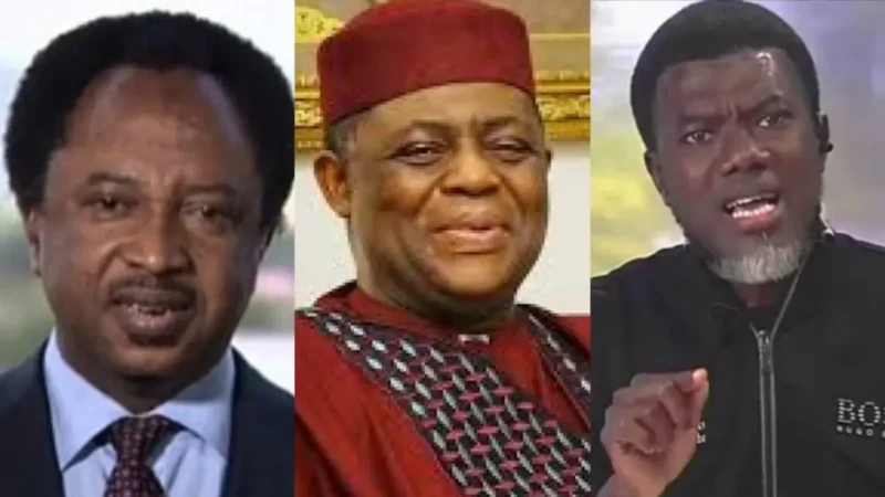 Shehu Sani, Reno Omokri, Femi Fani-Kayode others reportedly make ambassadorial list