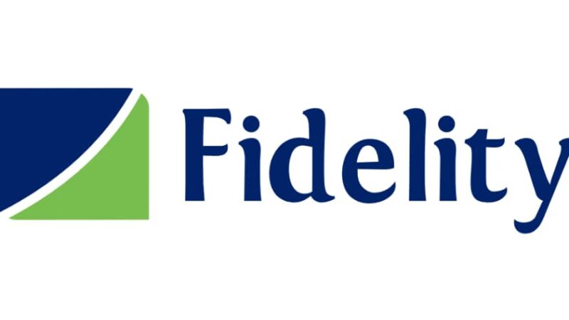 Why Fidelity Bank Plc is too big to fail