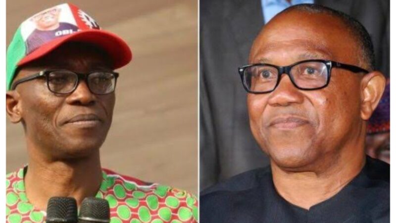 By-election: Peter Obi now ‘Uber’ politician -Julius Abure