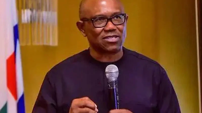 ‘They invest in corruption’ – Peter Obi reveals secret of vote buying