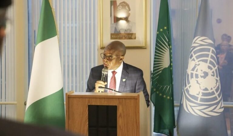 Nigeria Pushes for IMO Council Seat, Showcases Maritime Achievements in New York 