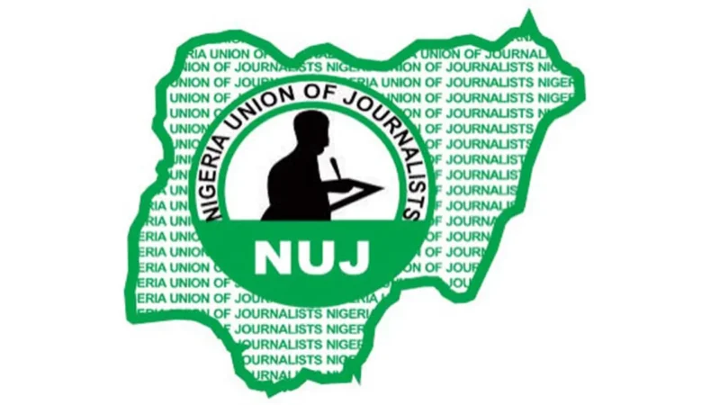 Rising food prices worsening chronic illness among Nigerians – NUJ