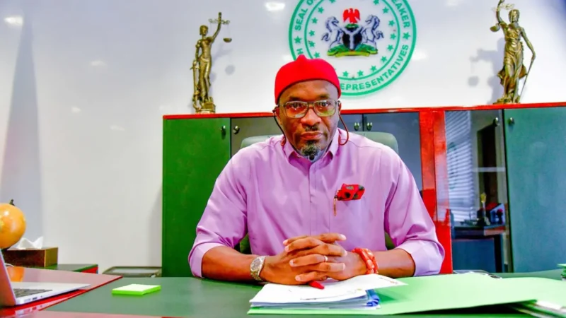 2027: APC will apply votes, not federal force to take over Abia – Deputy Speaker, Kalu