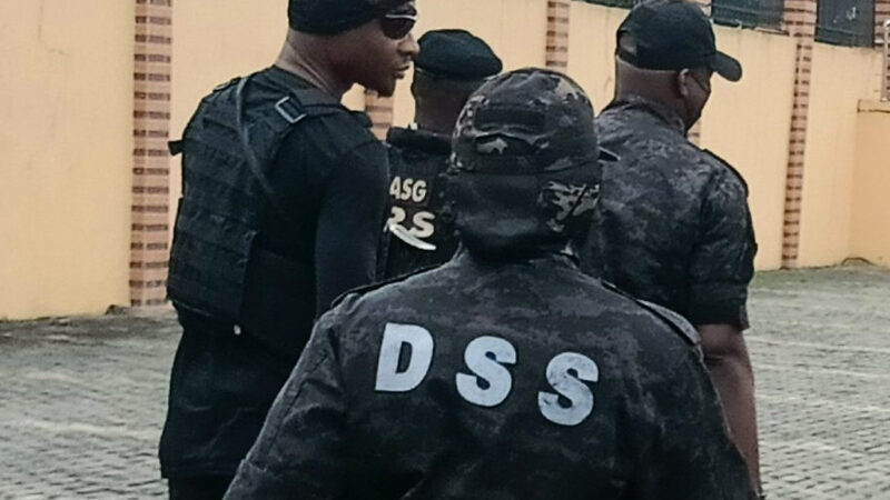 DSS arrests armed dealer, intercepts sophisticated weapons in Delta