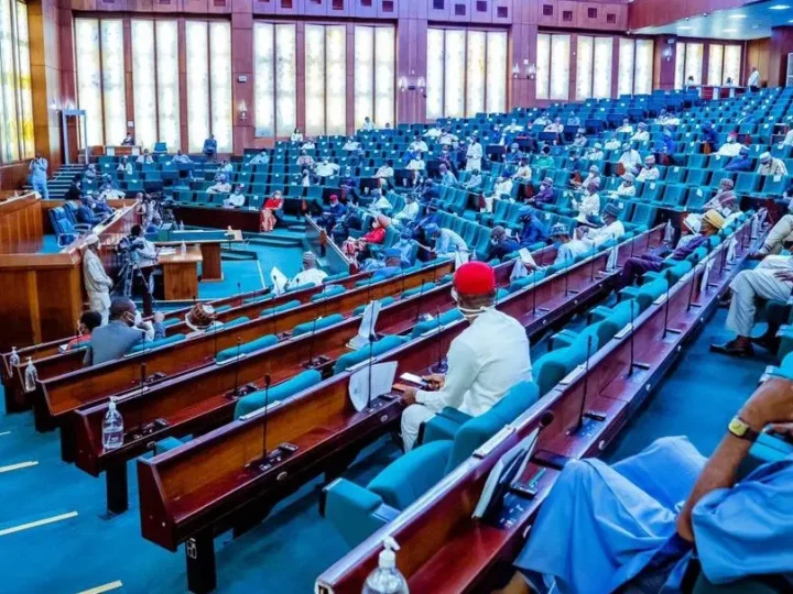 Reps proposes creation of additional local government areas in Benue