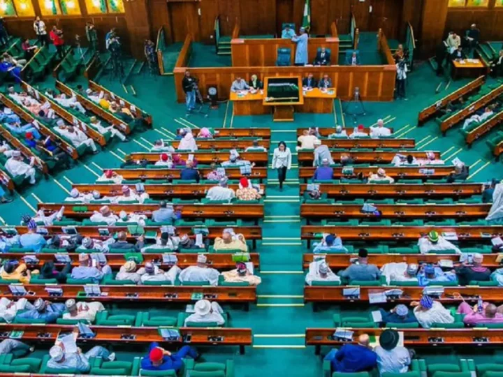 PENGASSAN strike: Reps seek protection for Dangote Refinery, strategic investments