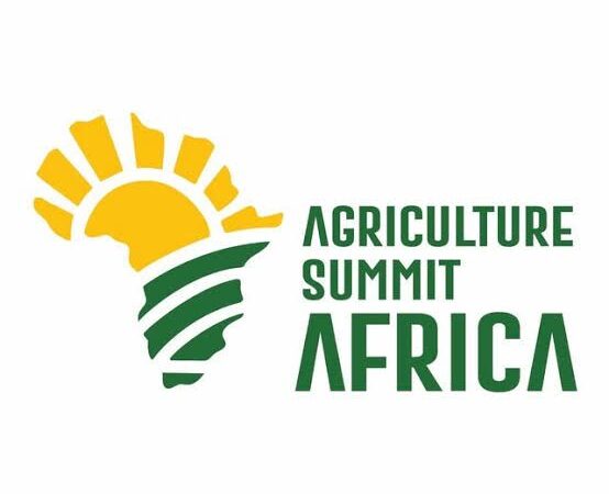 Sterling Bank leads Africa’s Green Revolution…