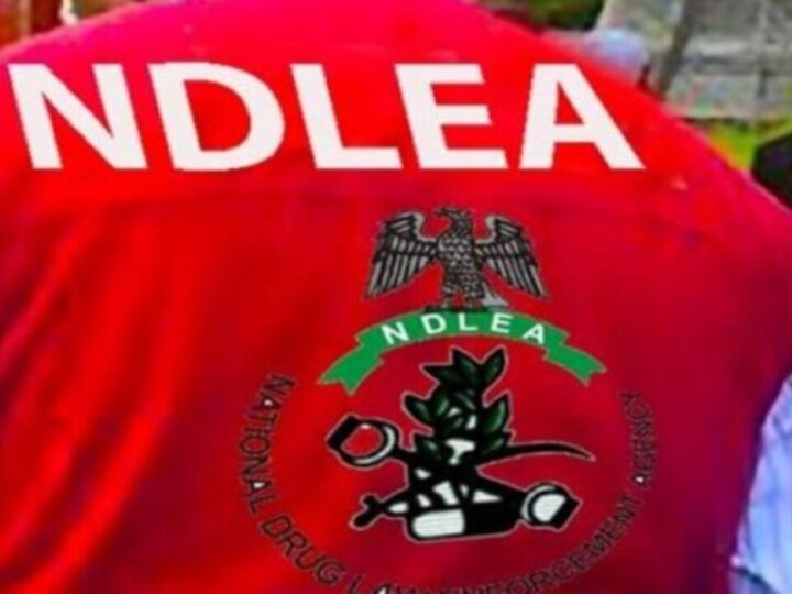 NDLEA moves to tackle drug abuse, streamline visa clearance