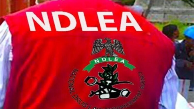 NDLEA moves to tackle drug abuse, streamline visa clearance
