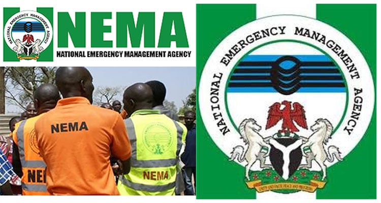 NEMA receives 147 Nigerians stranded in Libya