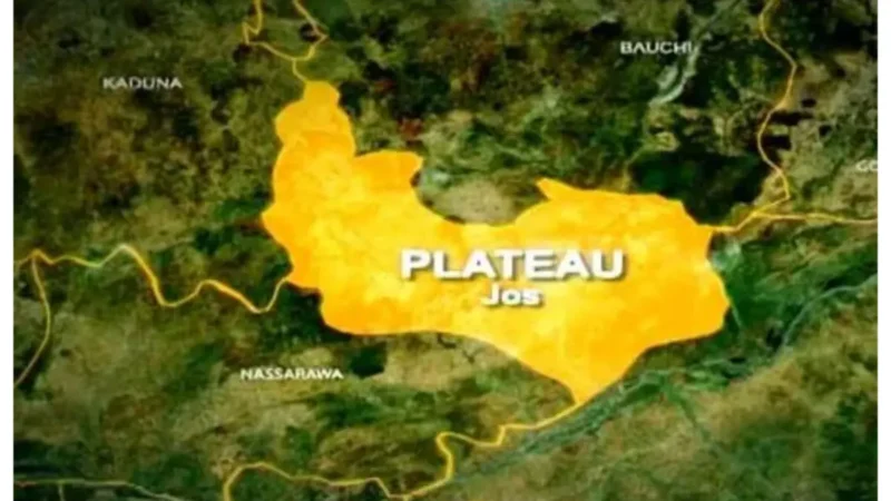 Plateau killings: Berom youths decry renewed attacks in Barkin Ladi