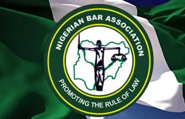 NBA condemns Kano court order forcing TikTokers to marry