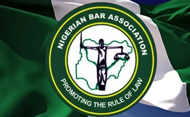 NBA condemns Kano court order forcing TikTokers to marry
