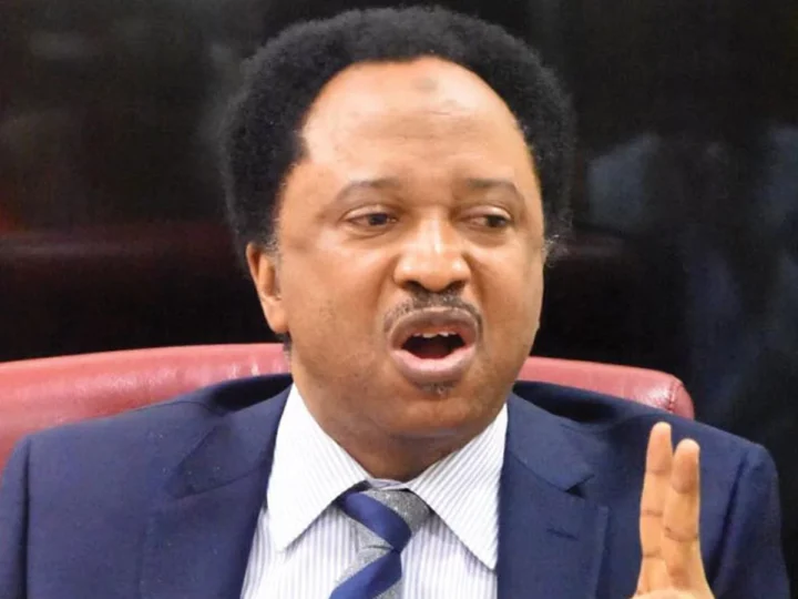 PDP, LP, APGA, SDP, NNPP senators working with APC – Shehu Sani