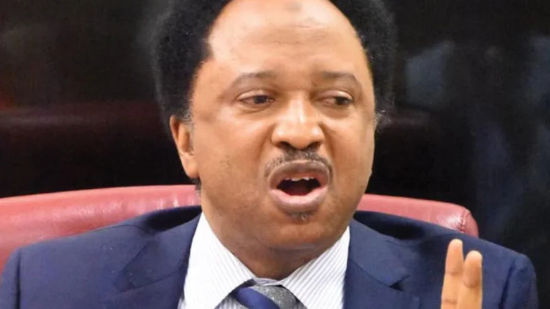 PDP, LP, APGA, SDP, NNPP senators working with APC – Shehu Sani